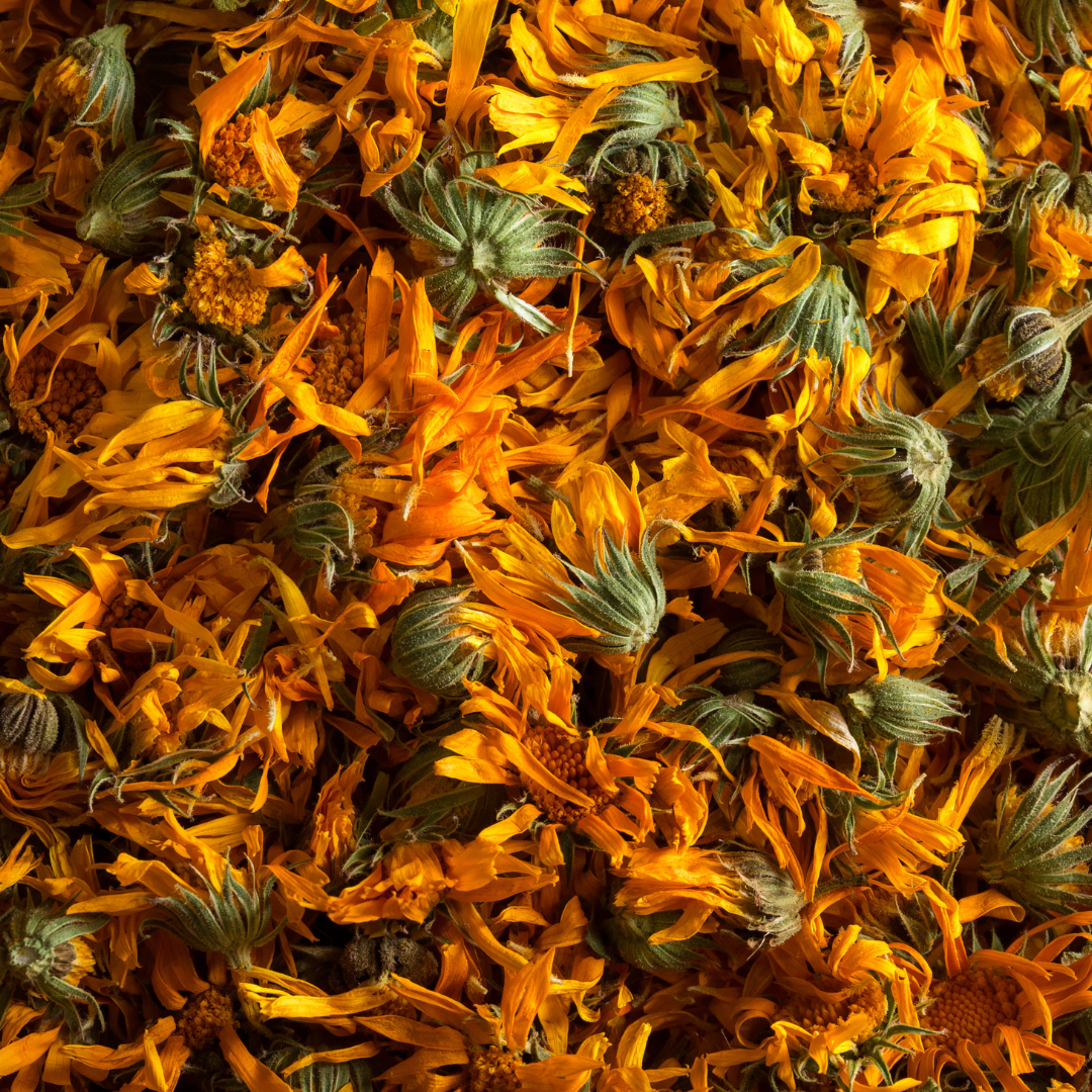 Herbal Salves