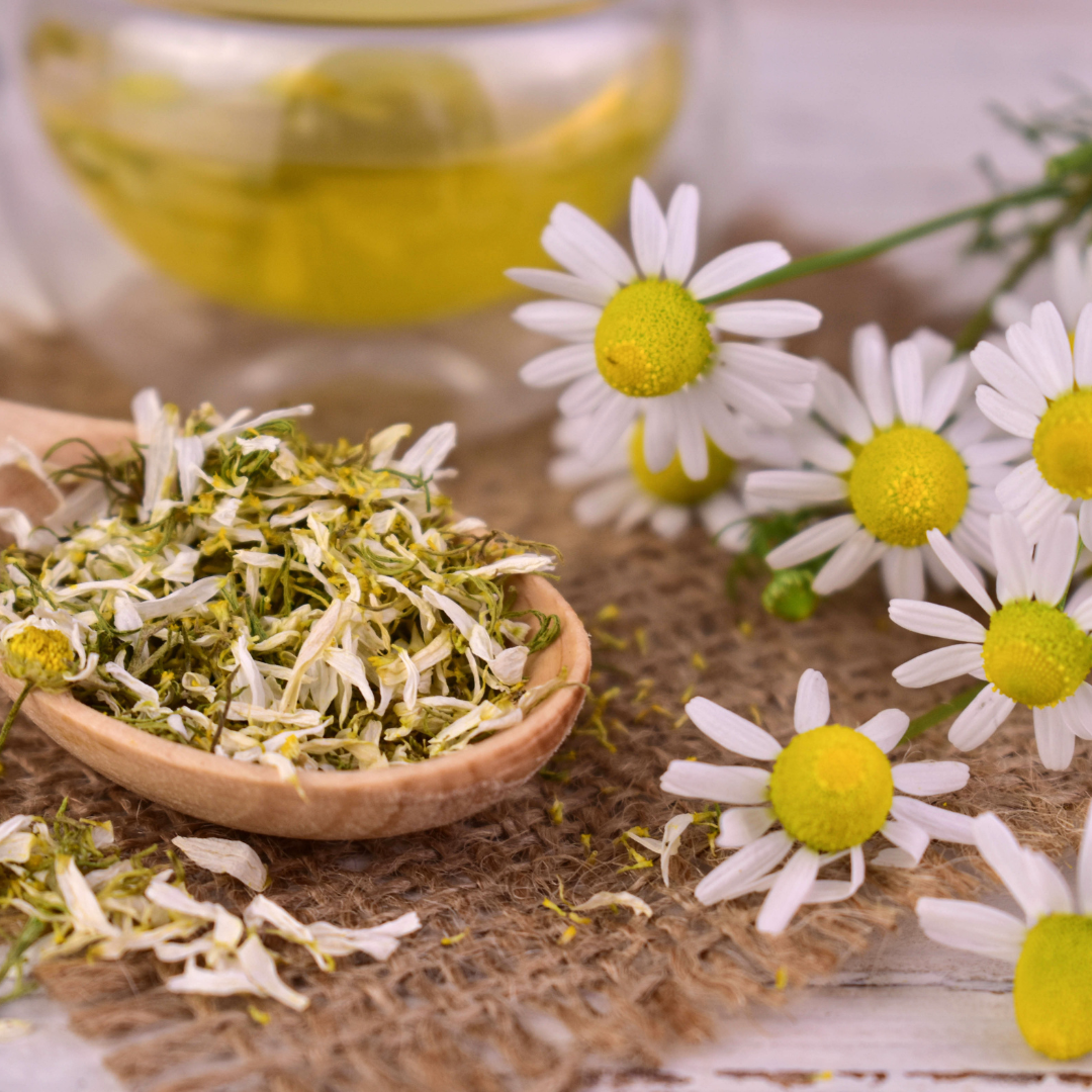 Baby & Child Nuture Salve- Soothe + Calm