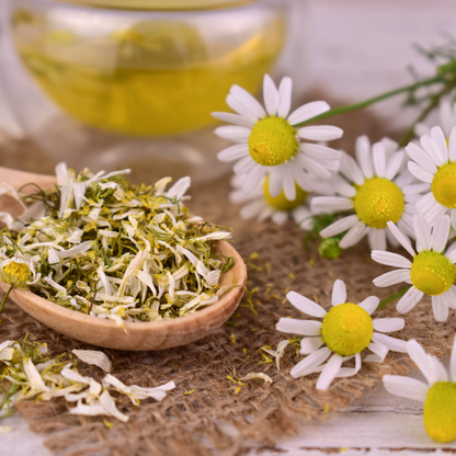 Diaper Rash Salve- Soothe + Calm