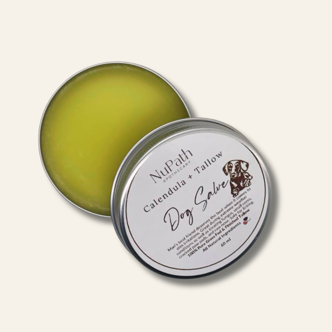 Dog Salve- Calendula + Tallow
